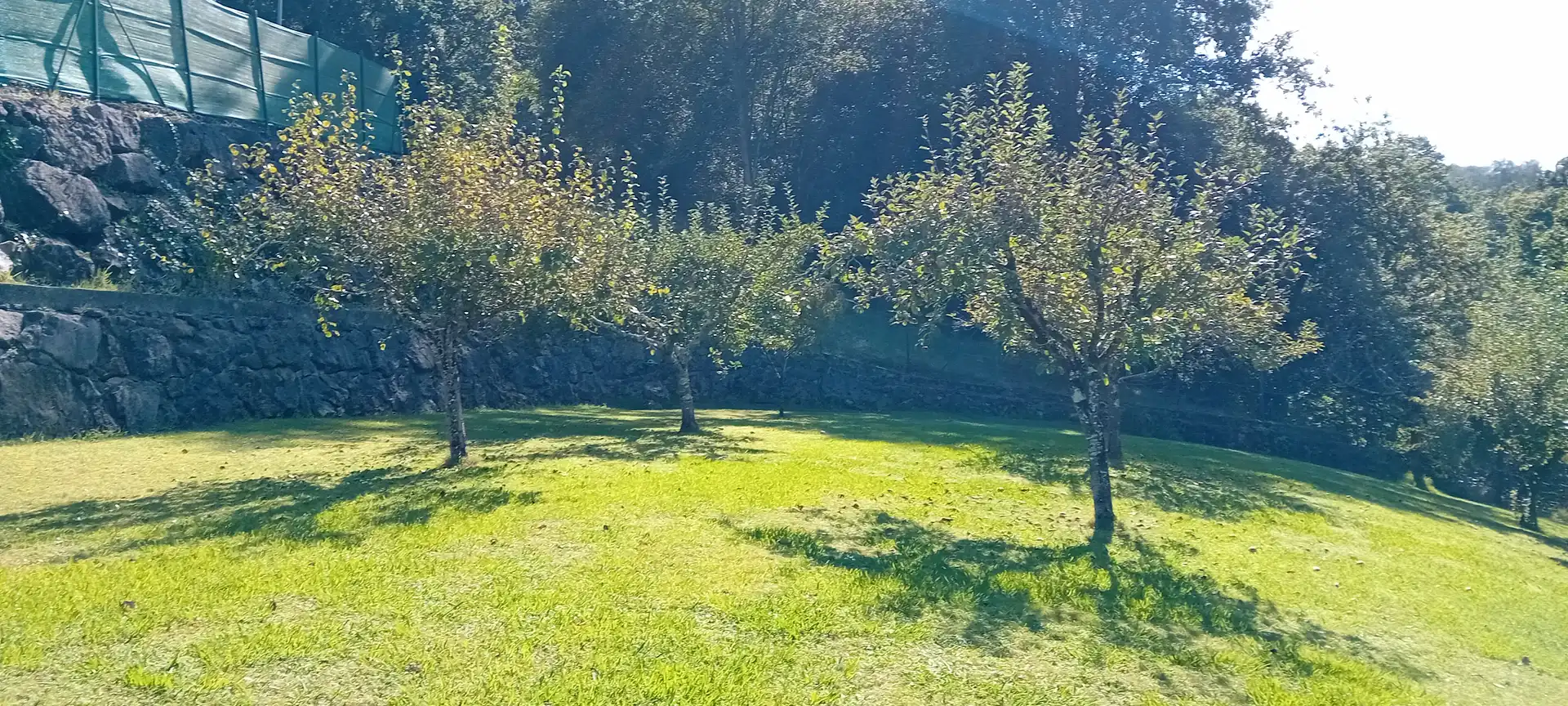 Jardí de Casa o xalet en venda en Parres amb Calefacció, Jardí privat i Parquet