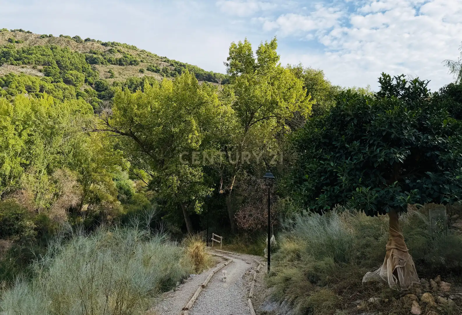 Casa en venda a Paterna del Río, imagen 31