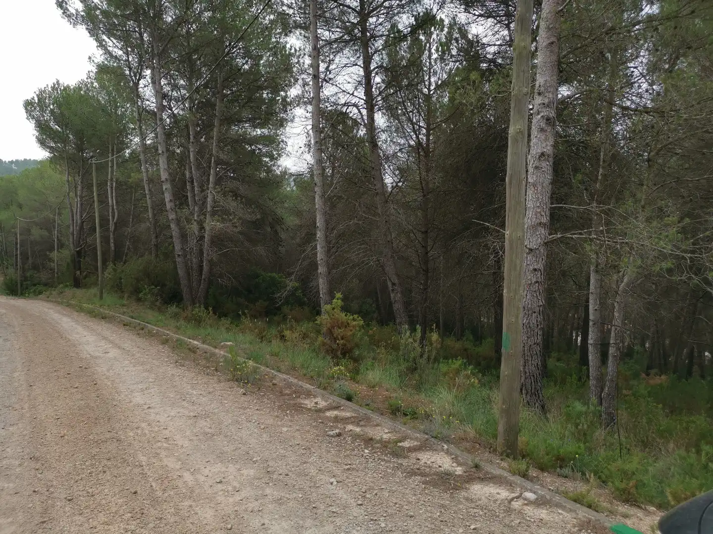 Terreny residencial en venda a El Montmell, imagen 2