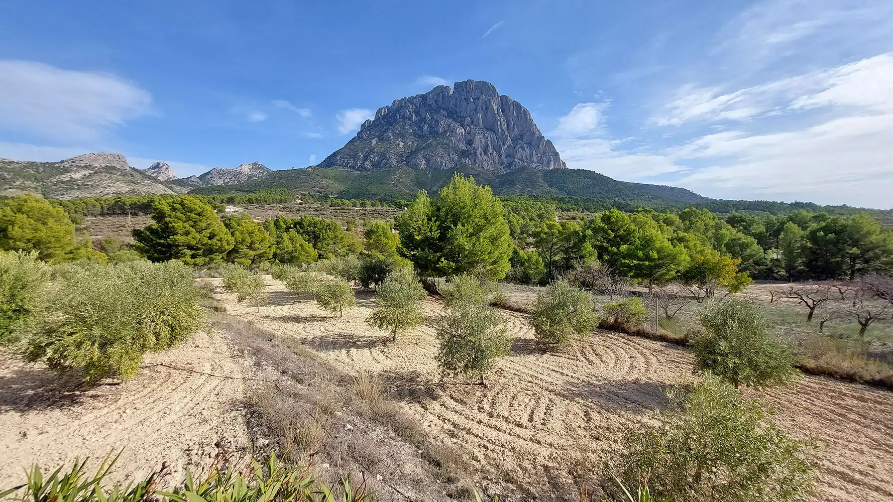 Casa o xalet en venda en Finestrat amb Aire condicionat, Calefacció i Jardí privat