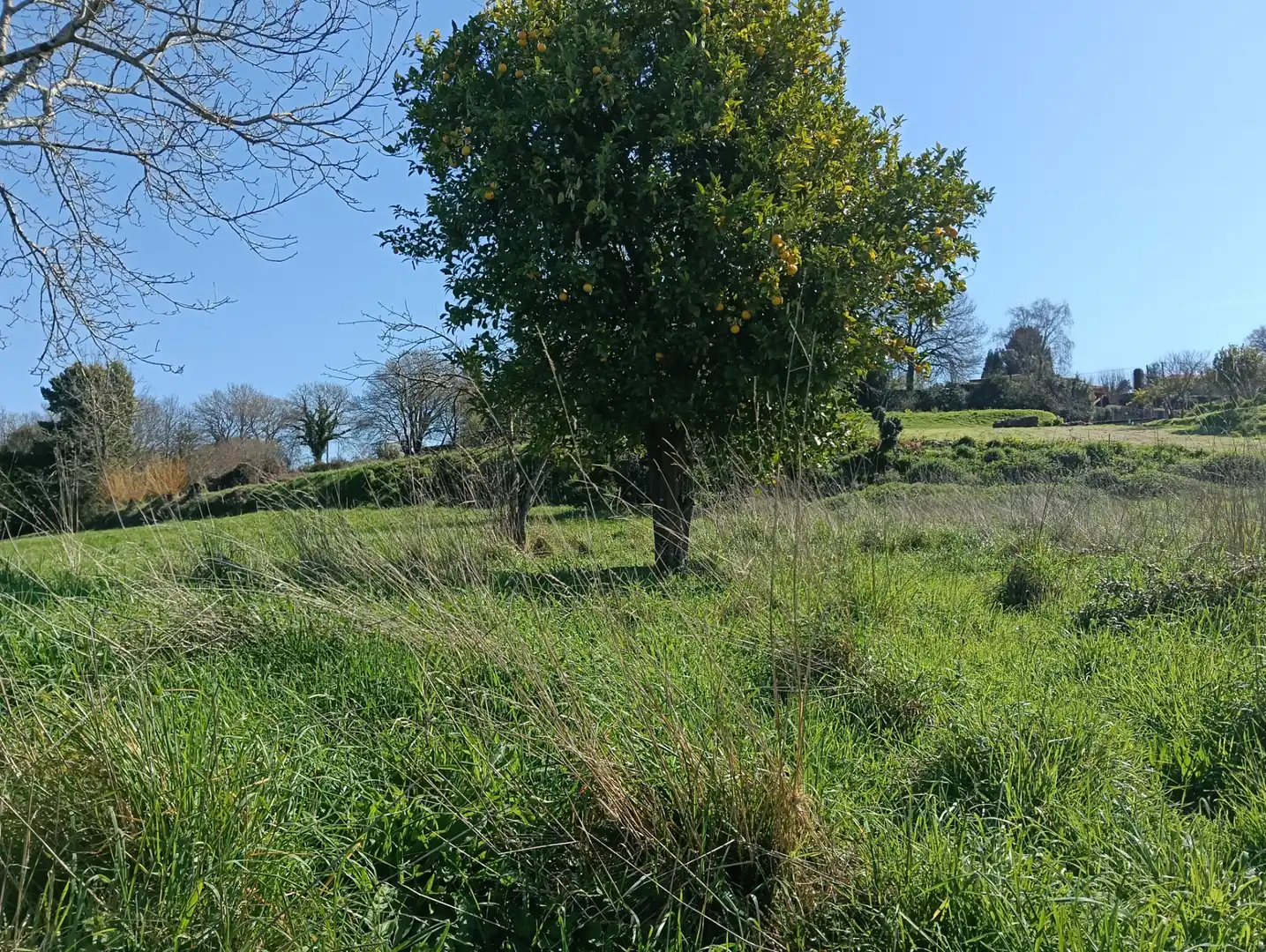 Adossat amb jardí en venda a Oza dos Ríos, imagen 11
