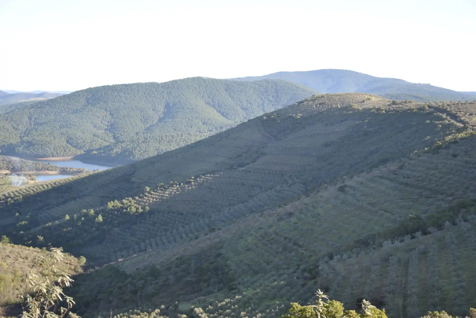 Terreno en venta en La Pesga 