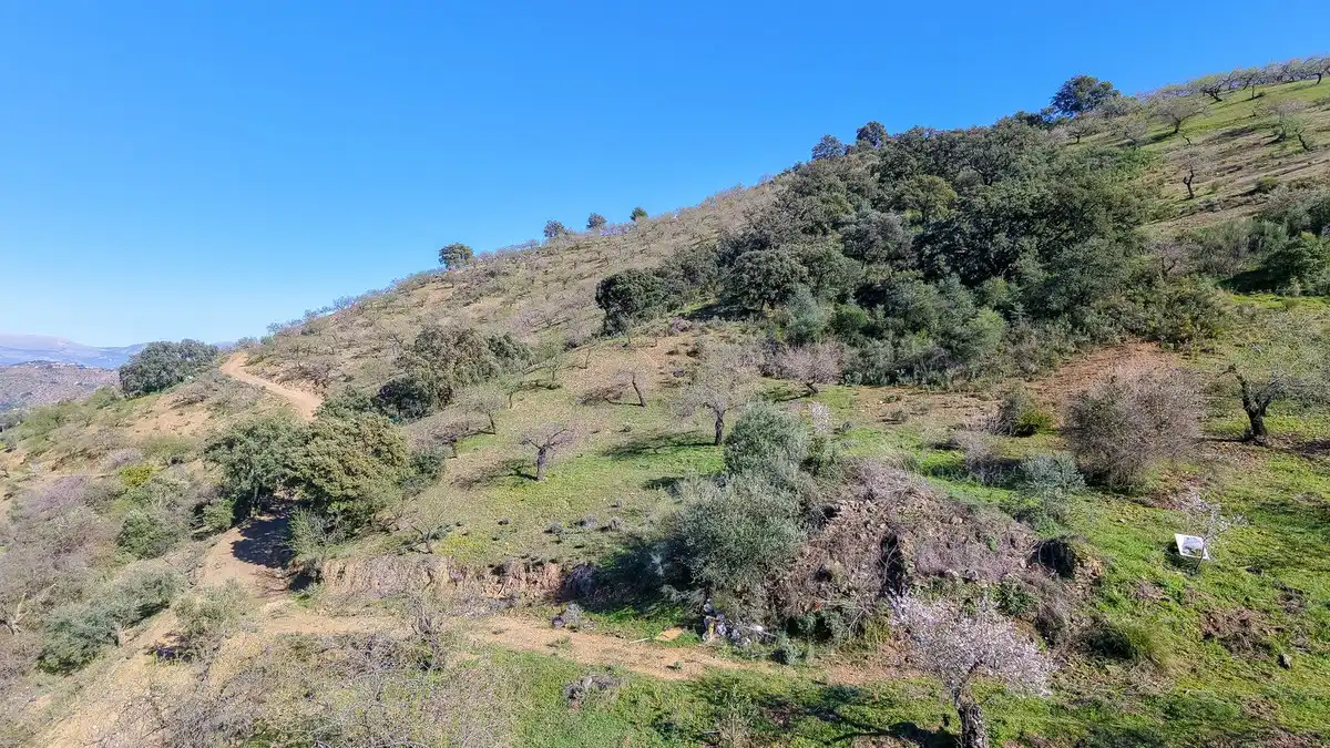 Terrenos y solares en venta en Este, imagen 2
