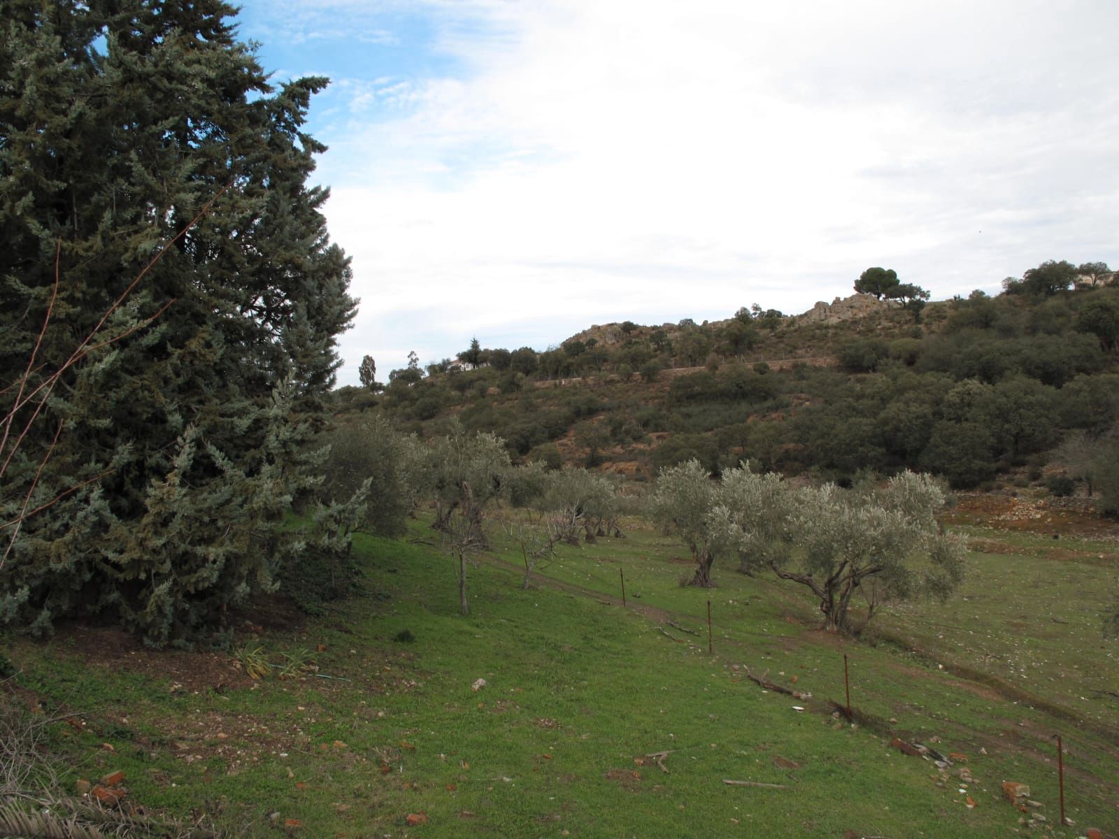 Casa o xalet en venda en Cáceres Capital amb Calefacció i Moblat
