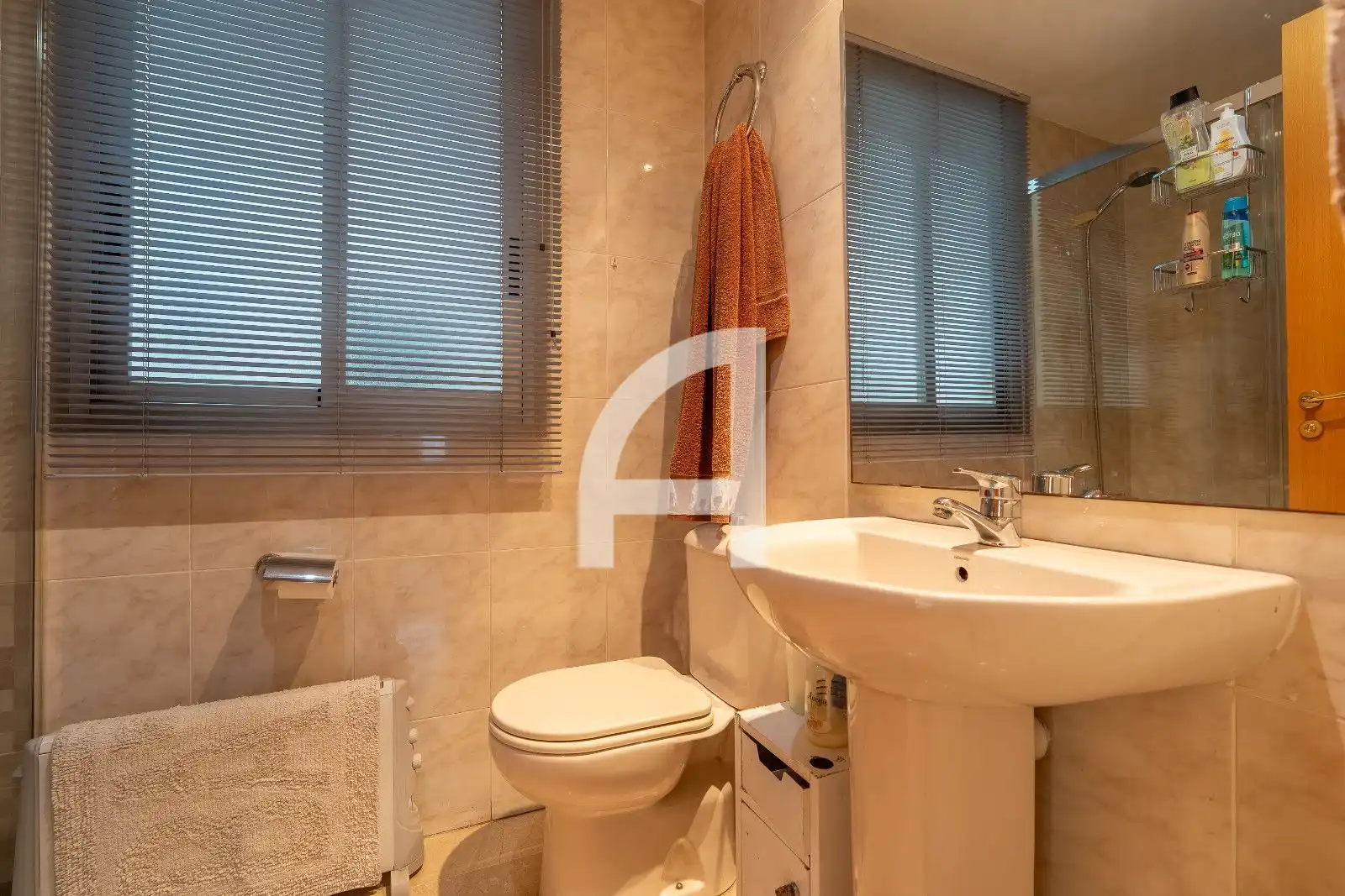 Appartamento con piscina in vendita a Pi Margall 64, imagen 18
