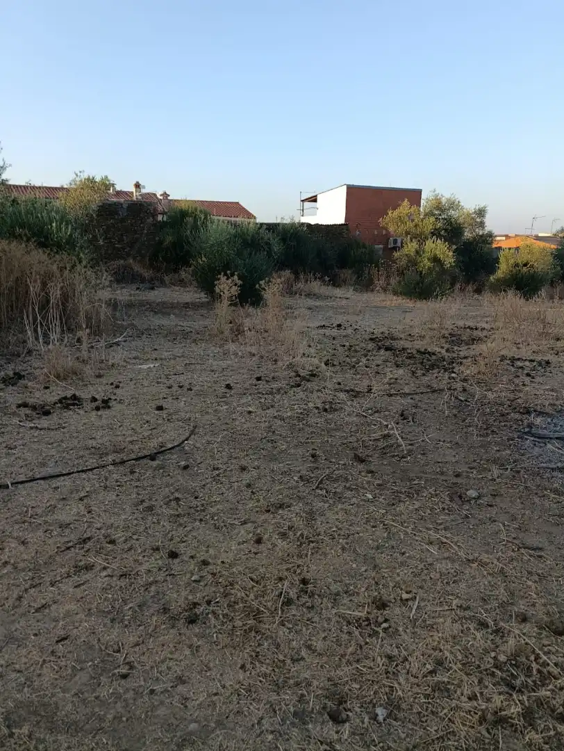 Residential land for sale in Calle San Francisco 43, imagen 6