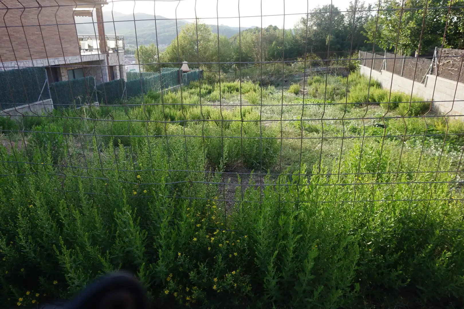 Terrenys i solars en venda a DEL PI, imagen 4