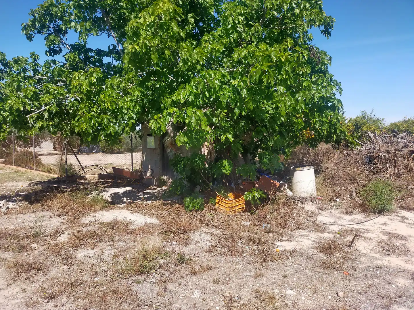 Terrain rustique à vendre à La Foia - Daimés - Asprella, imagen 6