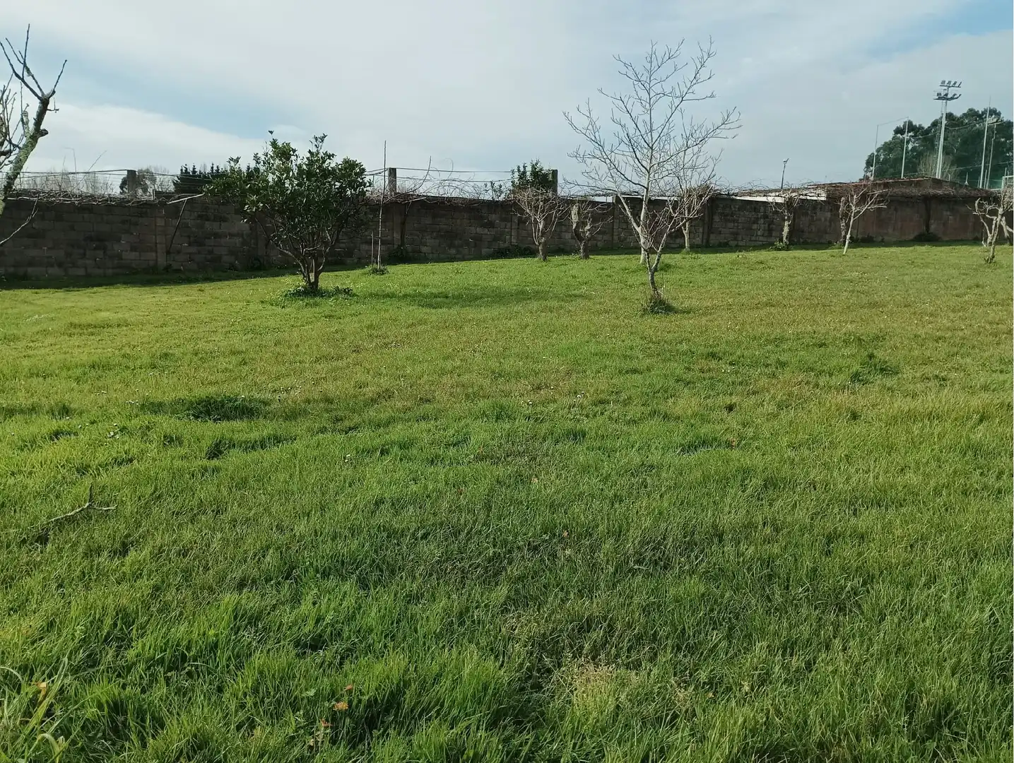 Houses for sale in Ares
