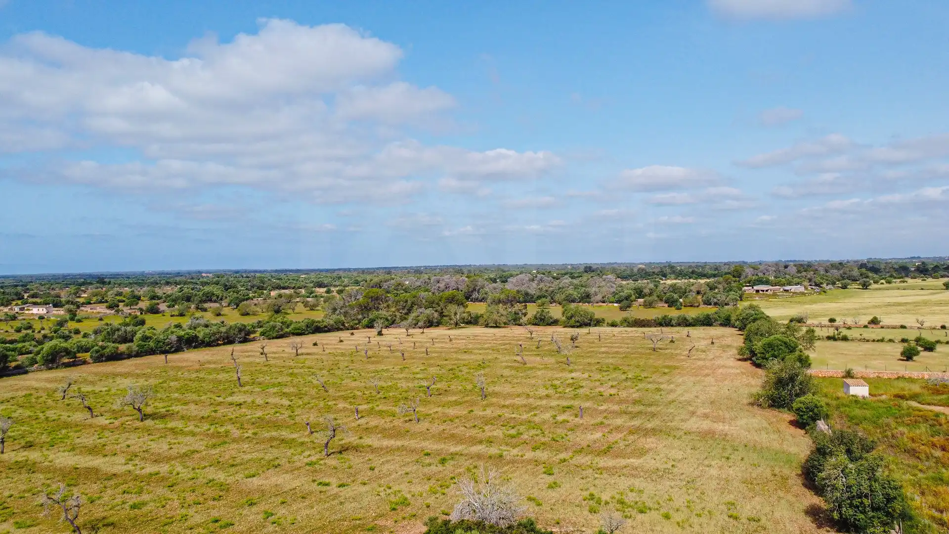 Terreno rustico in vendita a Llucmajor pueblo, imagen 4