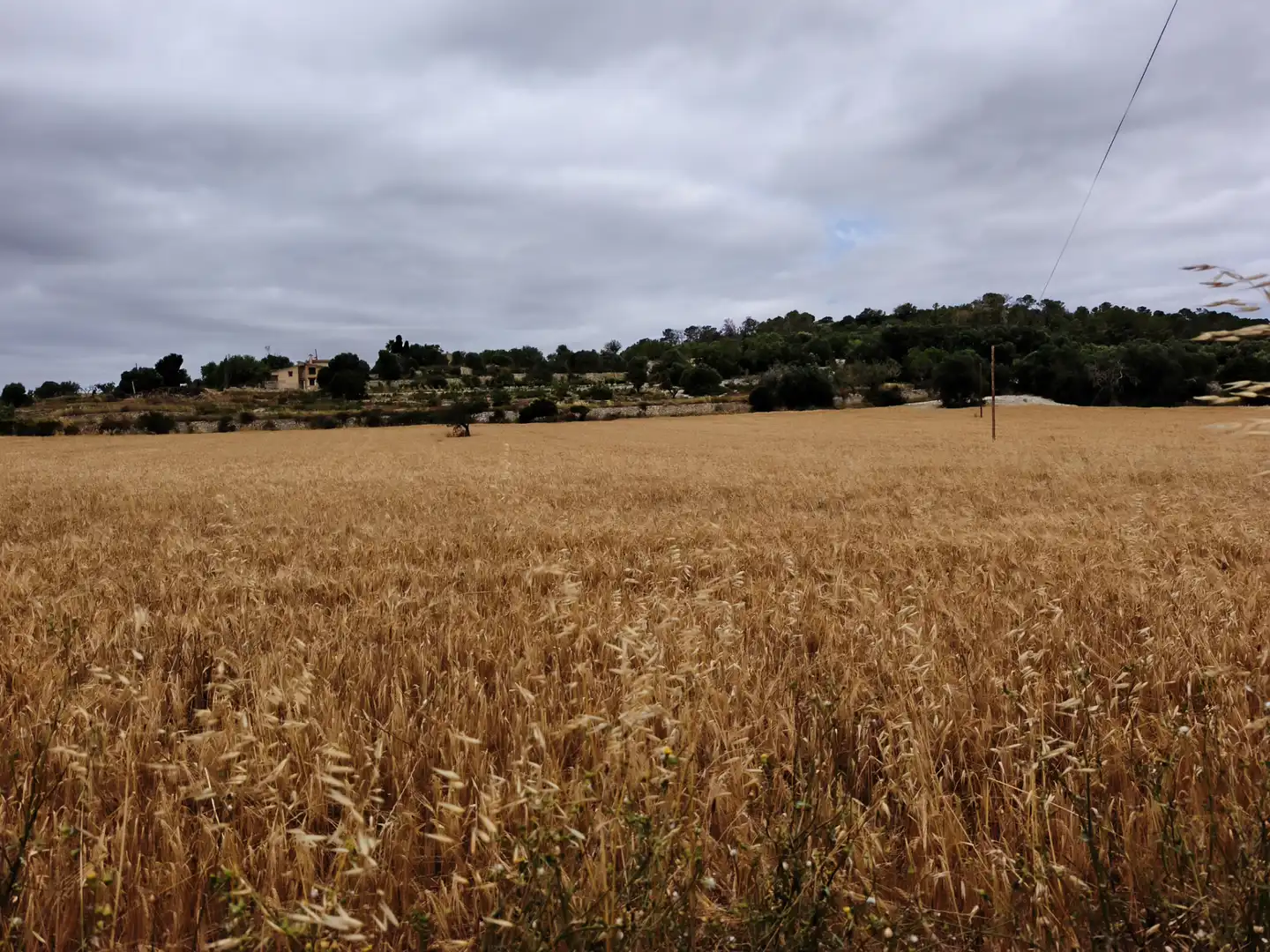 Terreno en venta en Montuïri