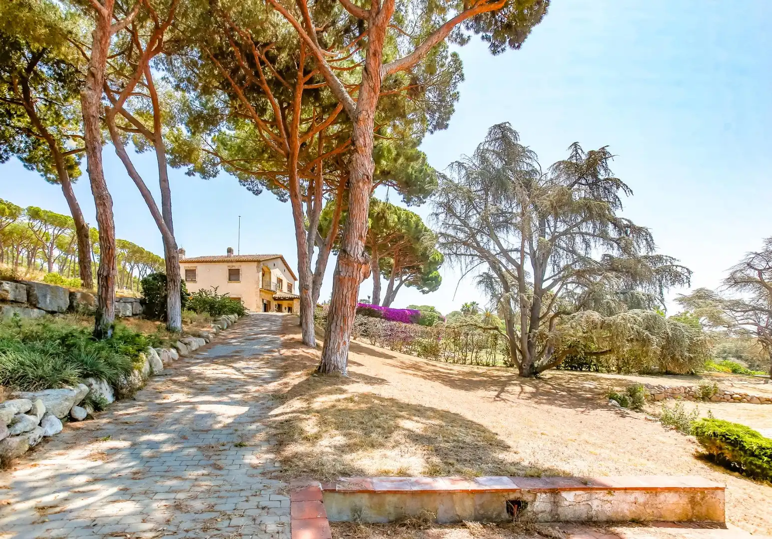Finca rústica en venda a Carretera Carretera de la Mata, 76, El Palau - Escorxador