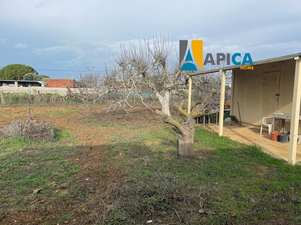 Casa o xalet en venda a Los Franceses – La Vega