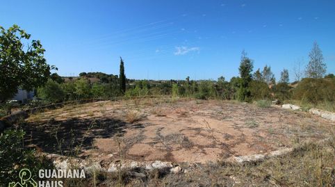 Foto 3 de Finca rústica en venda a Vía del V Centenario, 567, Costa Esuri, Ayamonte