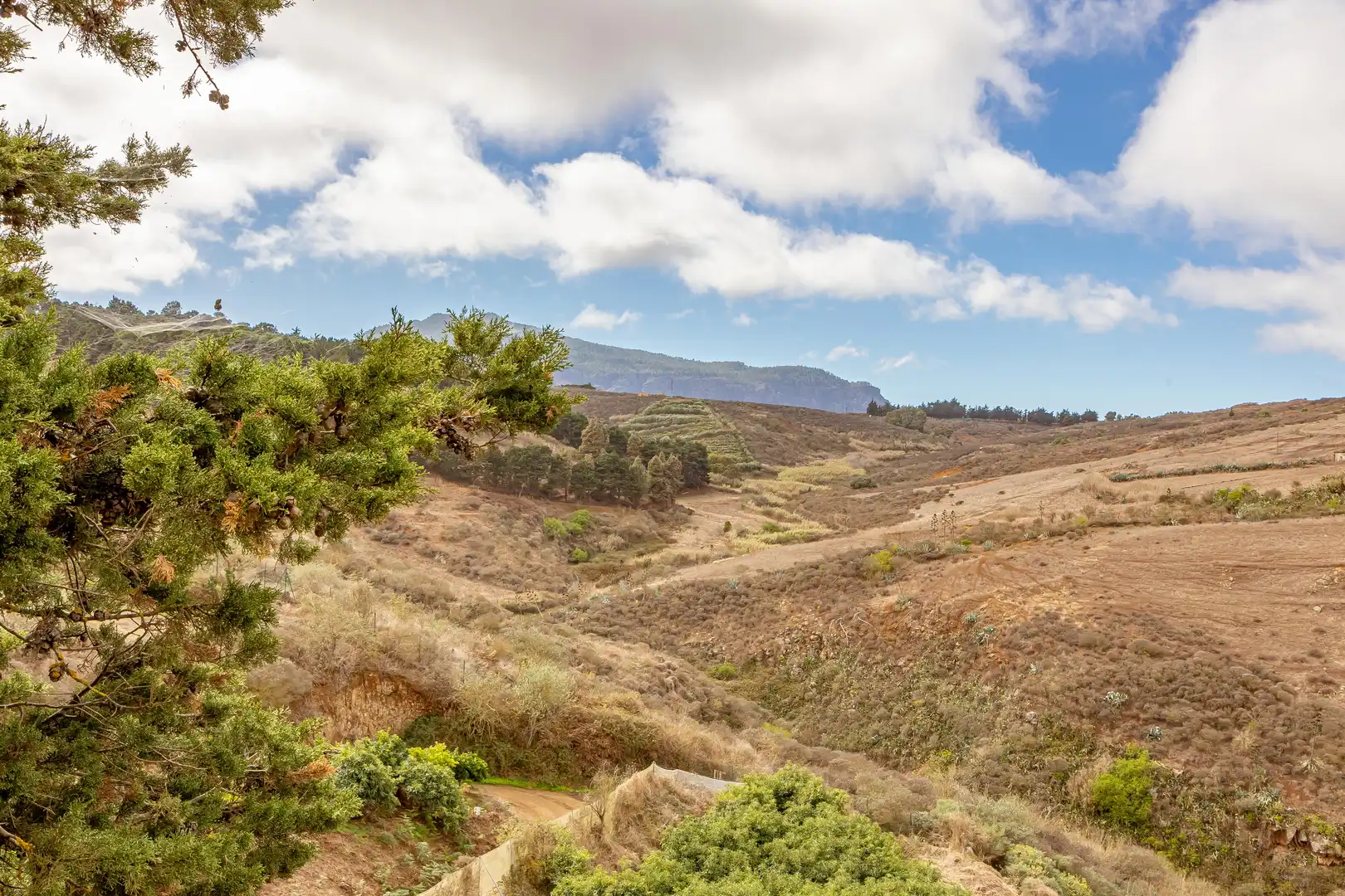 Residencial en venta en Lugar Lomo del Poleo, Saucillo - Fagajesto - Juncalillo