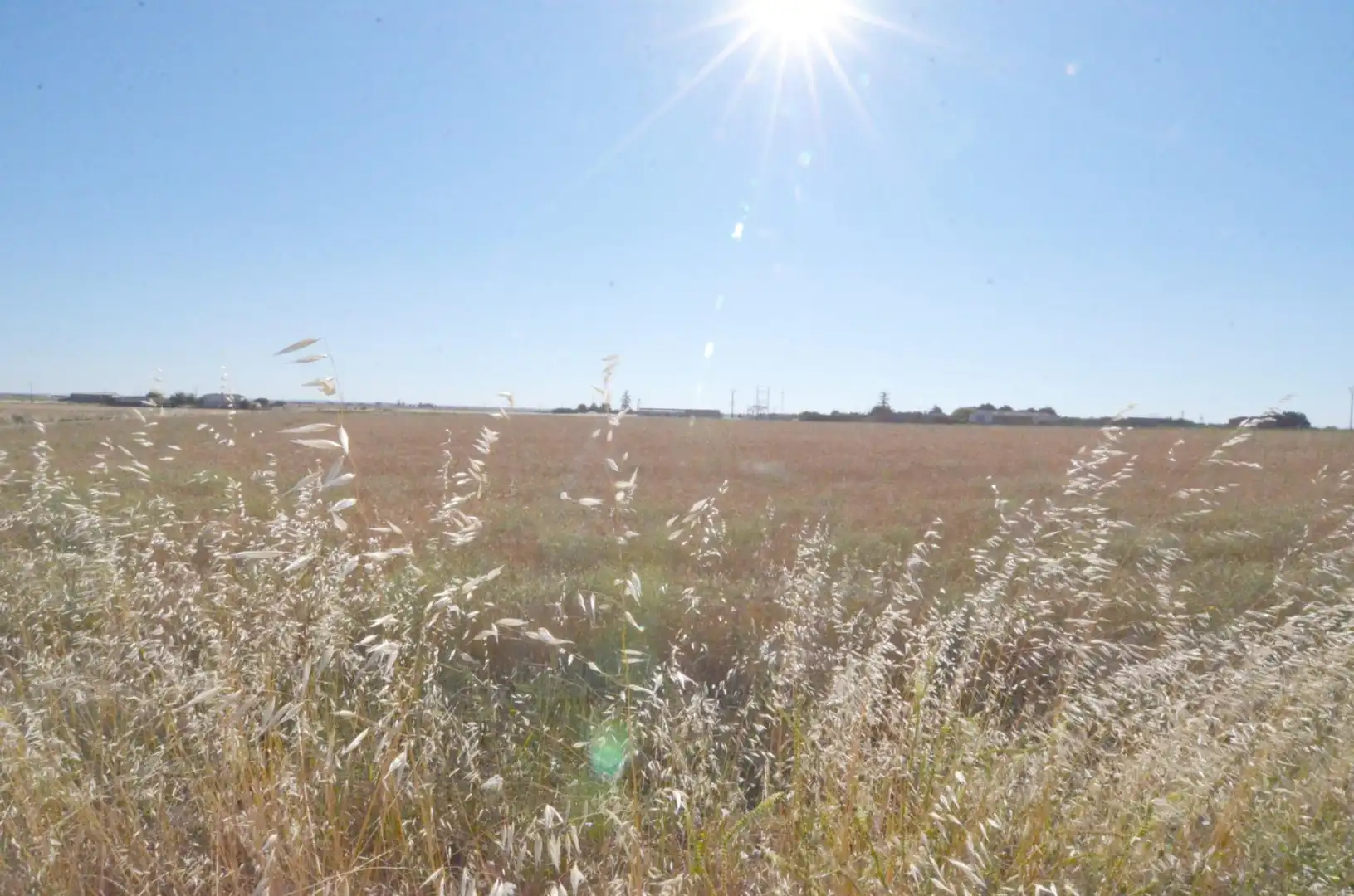 Rural land for sale in Calzada de Valdunciel, imagen 2