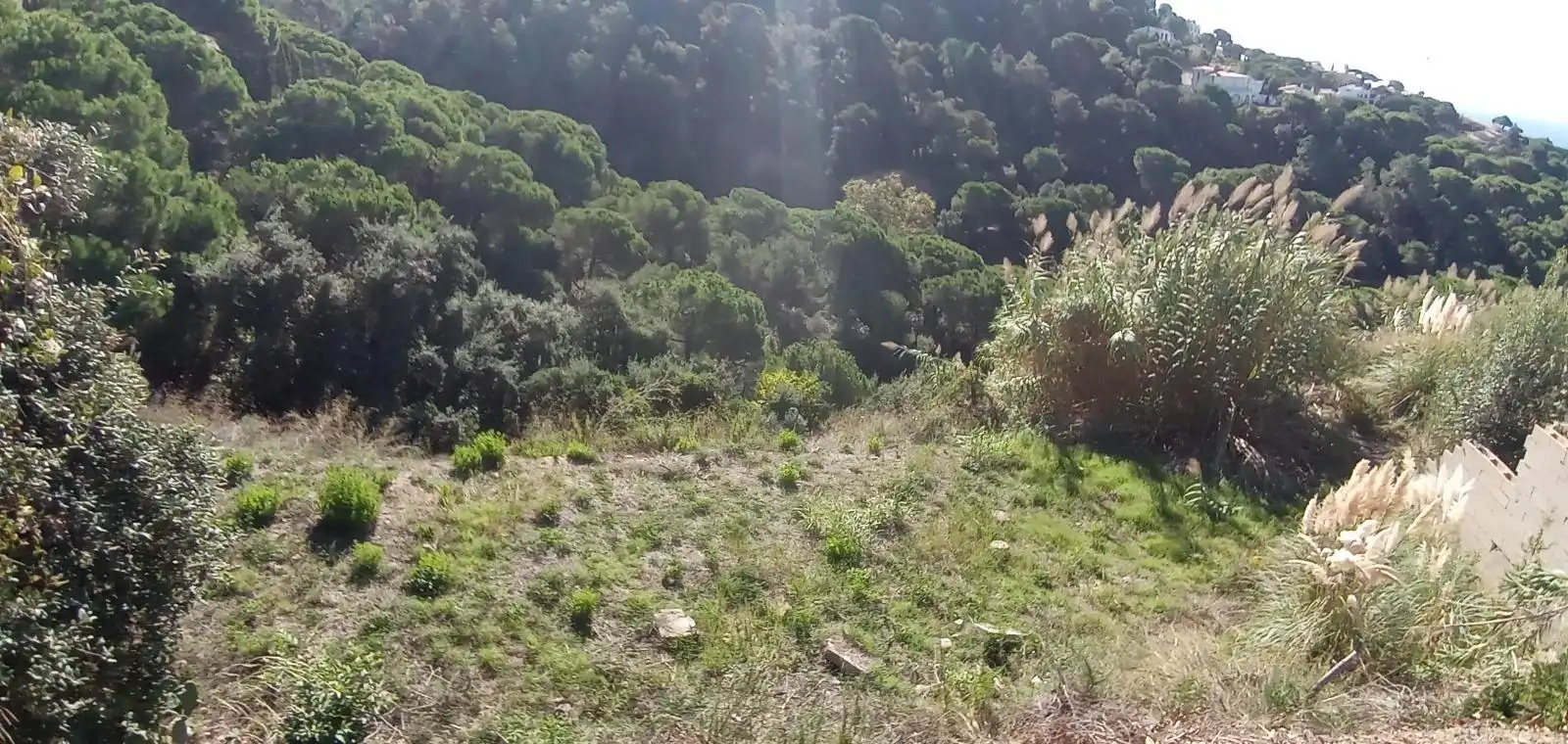 Terrenos y solares en venta en Serra Brava, imagen 3