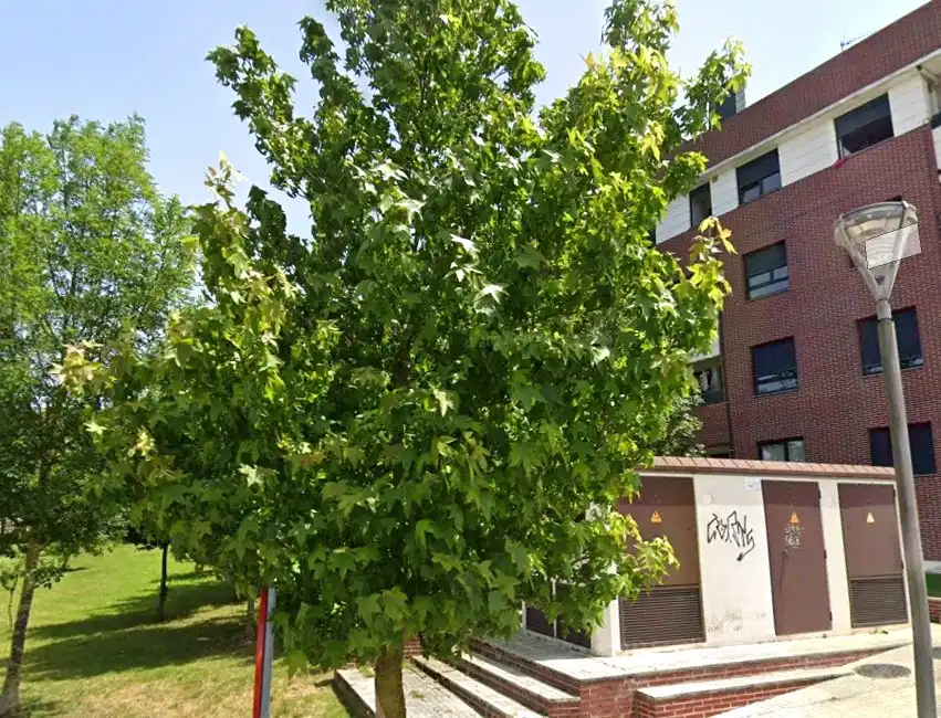 Vista exterior de Piso en venta en Polanco