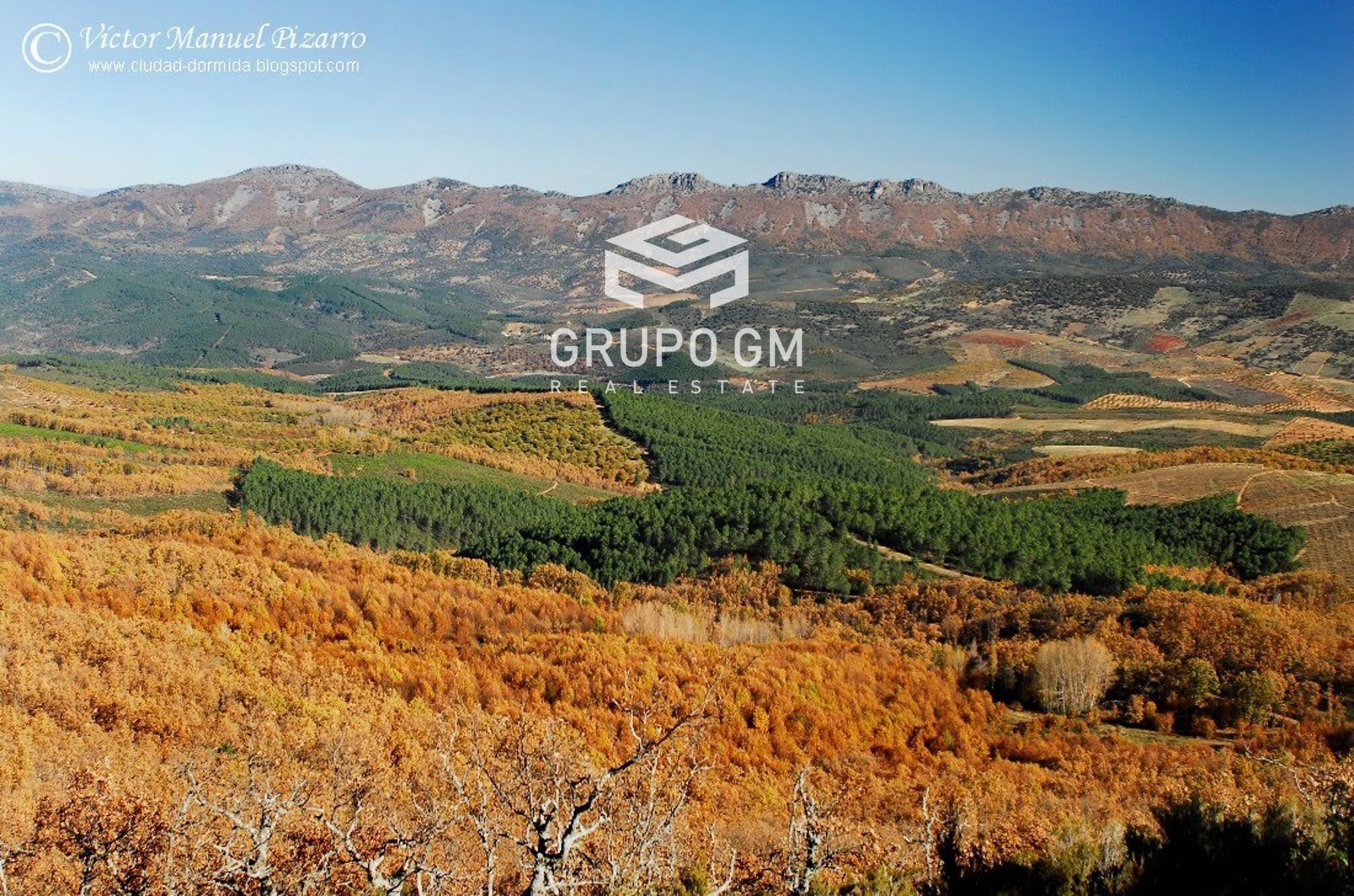 Land for sale in Navalmoral de la Mata