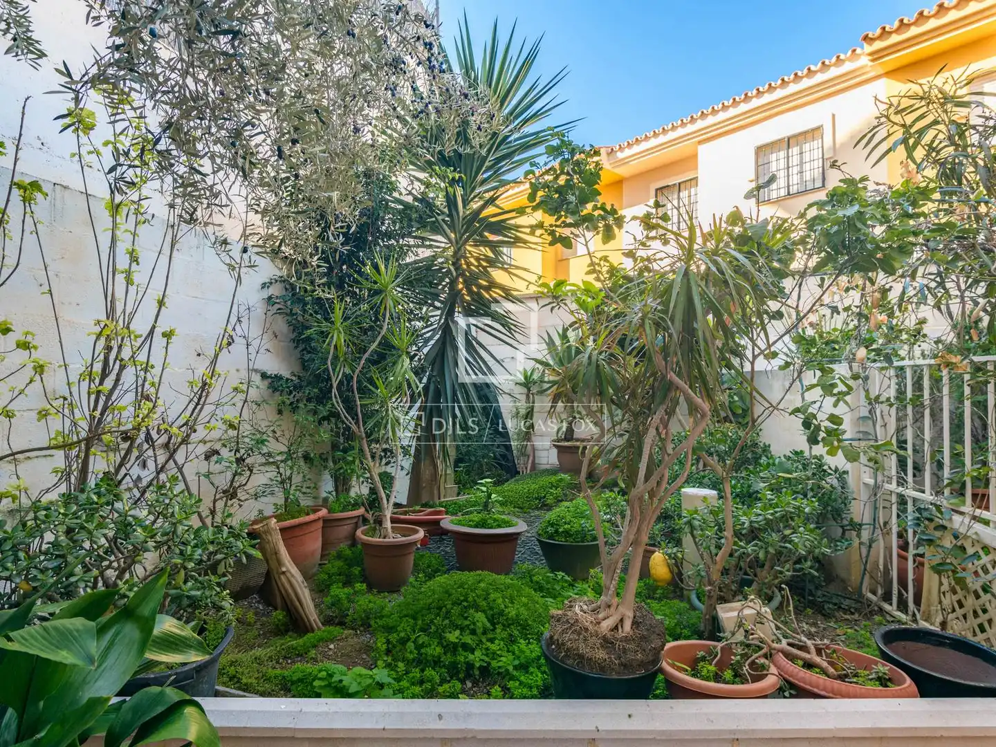 Jardí de Casa o xalet en venda en Rincón de la Victoria amb Aire condicionat, Jardí privat i Terrassa