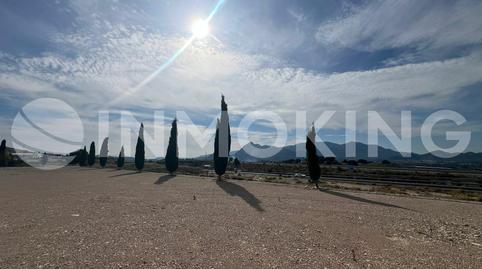 Photo 3 of Industrial land to rent in 7h67+7hj , Cieza, Murcia