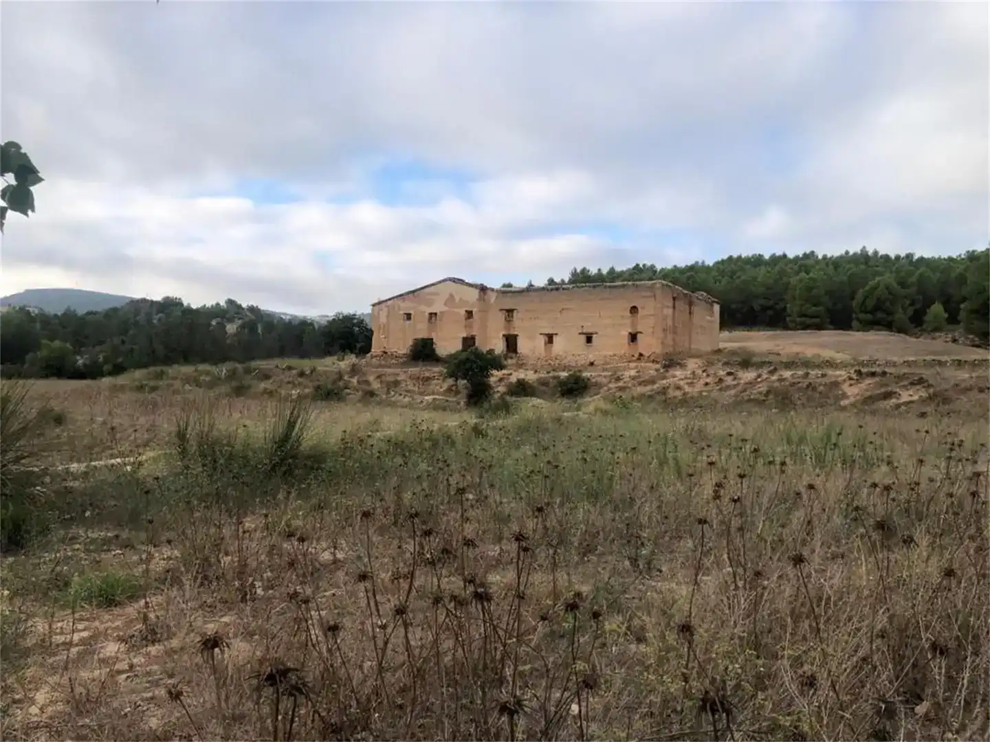 Vista exterior de Terreno en venta en Letur
