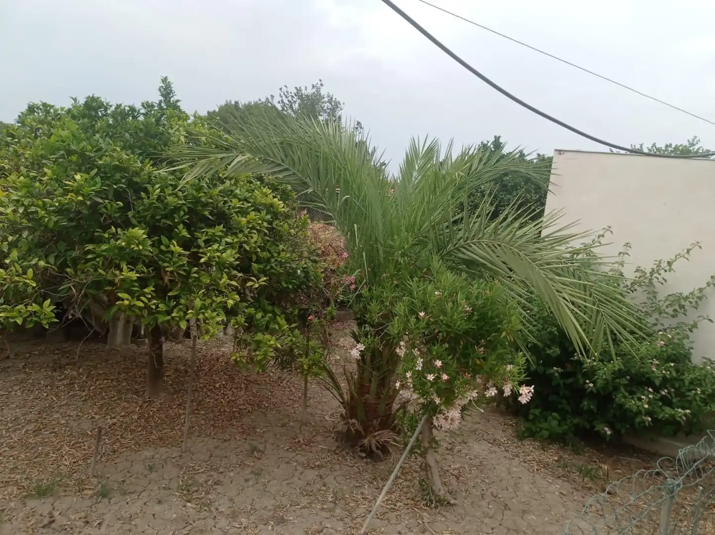 Finca rústica en venda en Murcia amb Jardí privat, Traster i Moblat