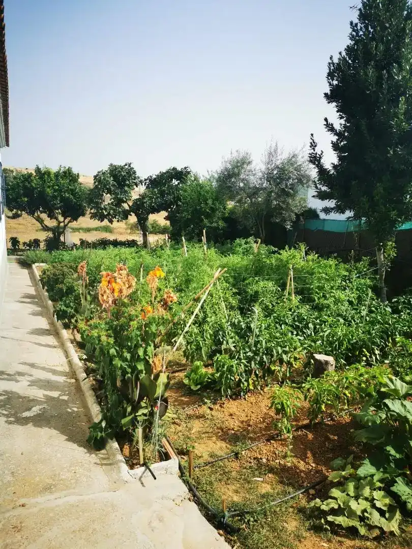 Jardí de Casa o xalet en venda en Cazalla de la Sierra