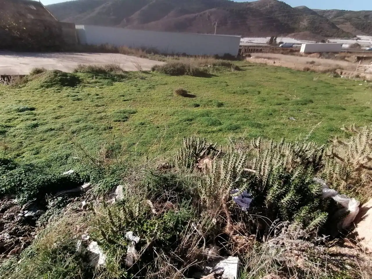 Terreno industrial en venta en Dalías