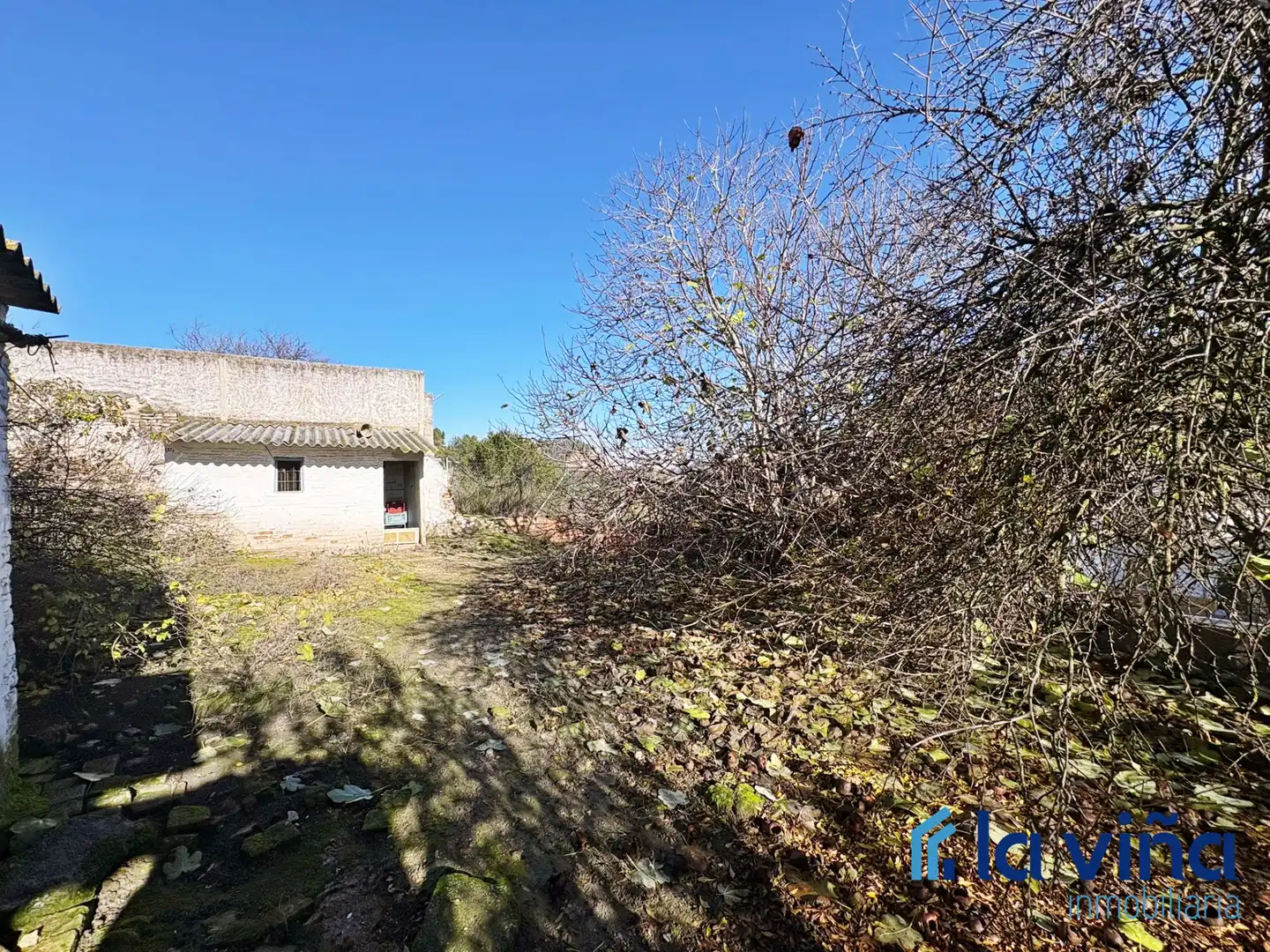 House with terrace for sale in Benamejí, imagen 16