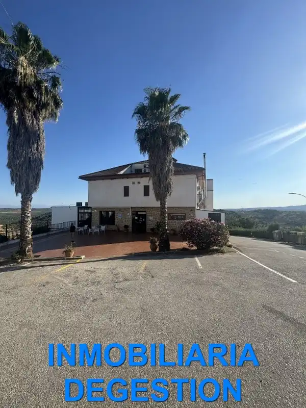 Inmuebles singulares con ascensor en venta en Calle Cerro de la Llana