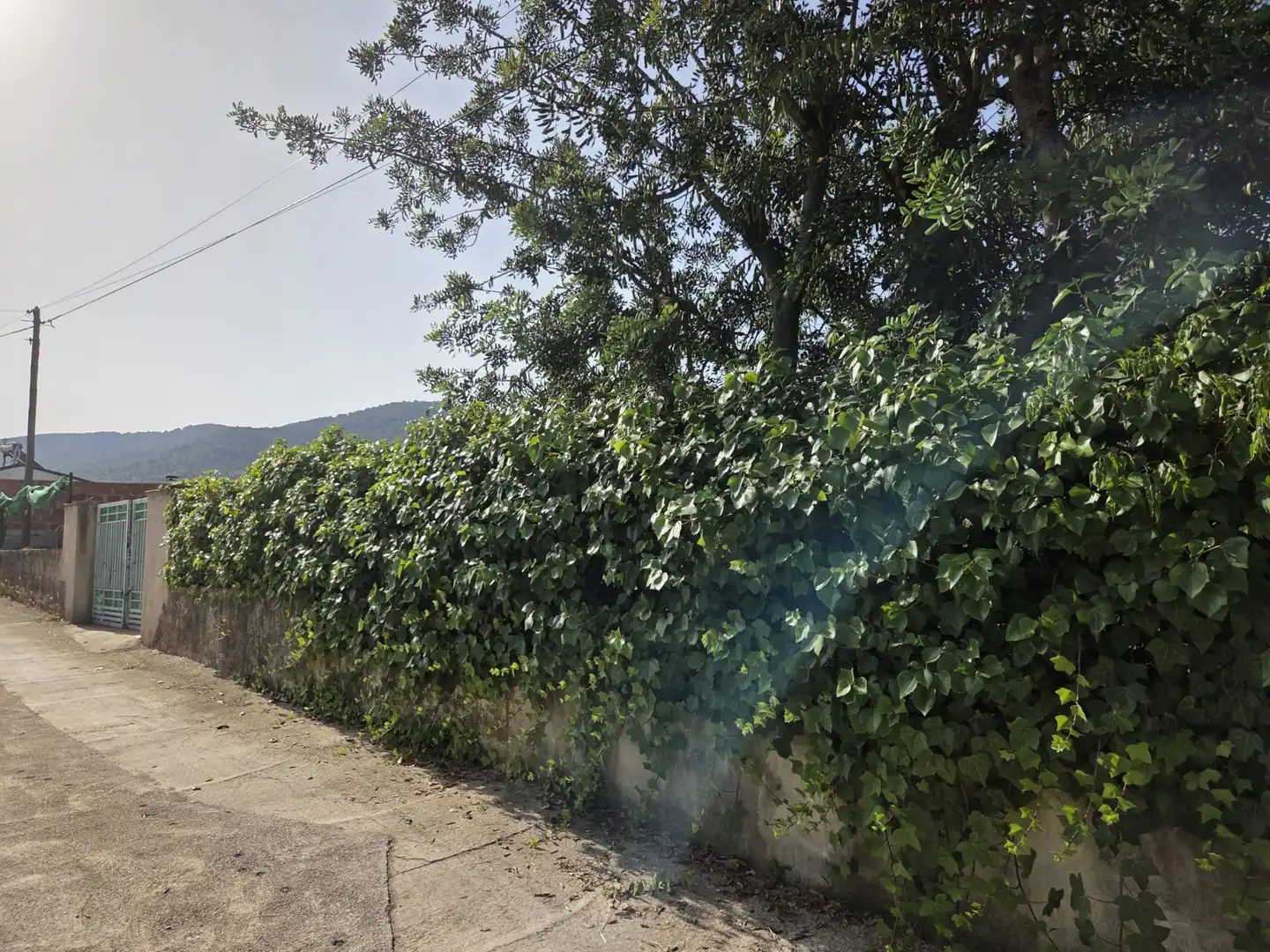 Residential land for sale in Sant Joan de Moró, imagen 4