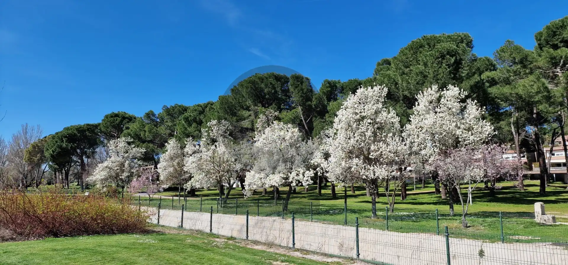 Flat with pool for sale in Paseo de la Rinconada, imagen 2