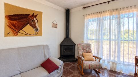 Finca rústica de 4316 m con vivienda, piscina y olivar en Segorbe, imagen 5