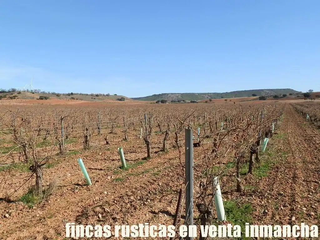 Terreni e lotti in vendita a Montalbo, imagen 6