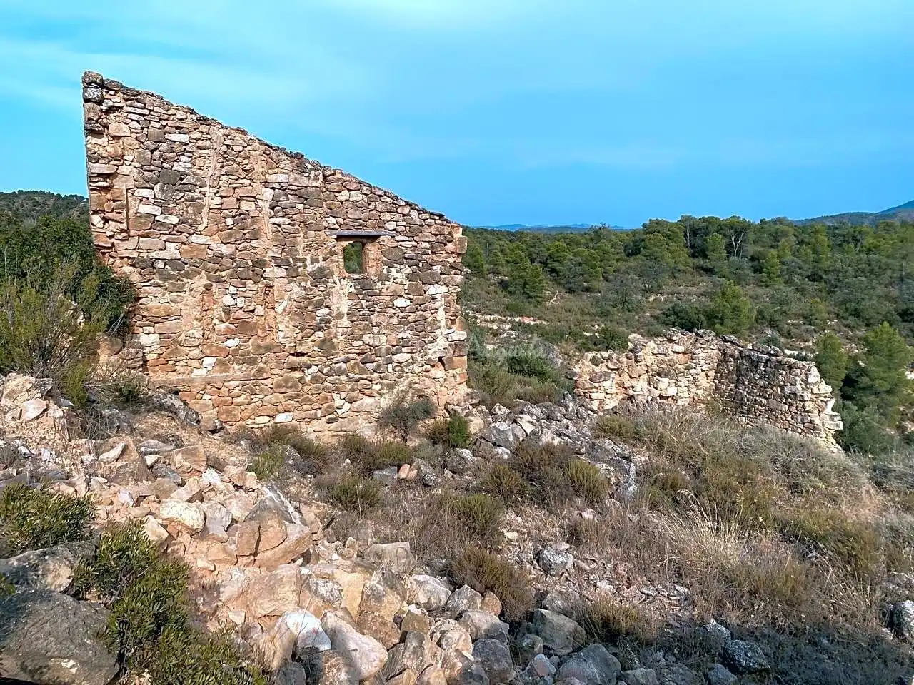 Terrain rustique à vendre à Partida Castellons, imagen 29