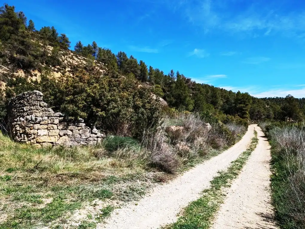 Terreni e lotti in vendita a Arens de Lledó, imagen 17