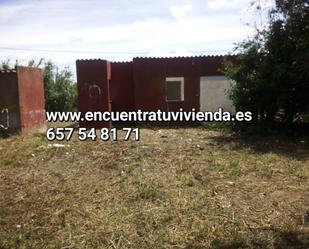 Finca rústica en venda en Chiclana de la Frontera amb Traster