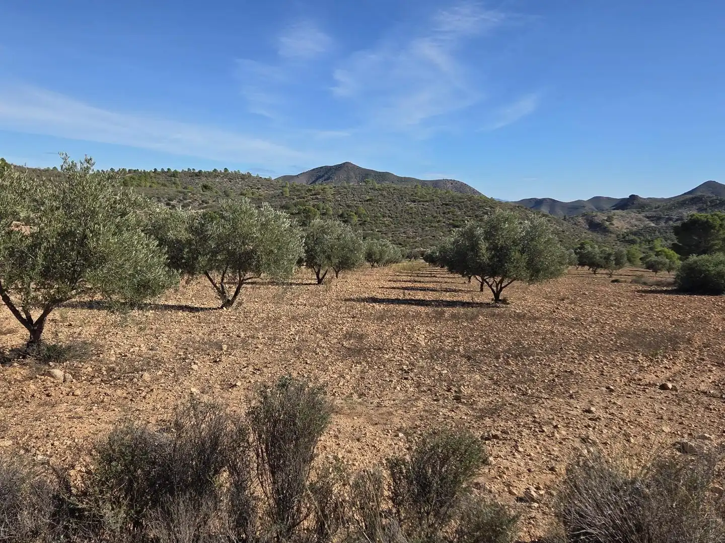 Terreni e lotti in vendita a Diputación de Vizcaino, imagen 15