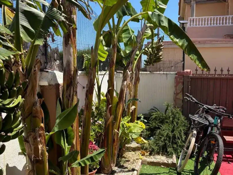 Jardí de Casa o xalet en venda en Vinaròs amb Aire condicionat, Calefacció i Jardí privat