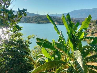 Terrenys i solars en venda a CAMINO DE PINOS DEL VALLE