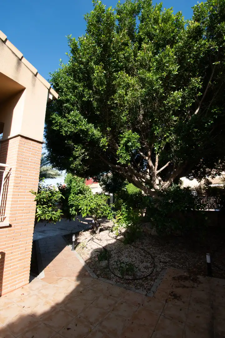 Jardín de Casa o chalet de alquiler en Murcia con Aire acondicionado, Calefacción y Jardín privado