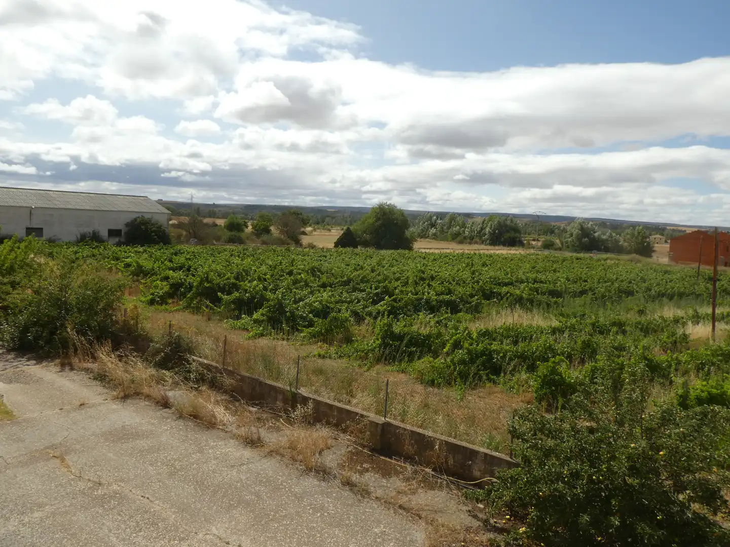 Nave industrial en venta en Lerma con Calefacción
