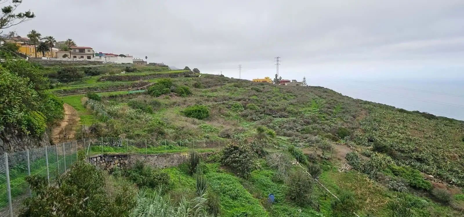 Grundstücke zum Verkauf in Garachico