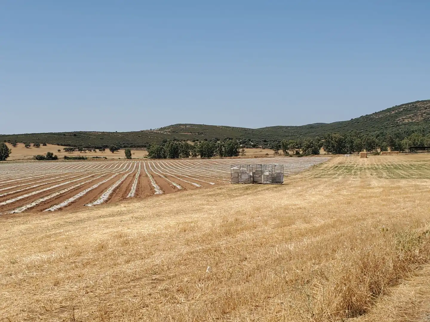 Finca rústica en venta en Nuevo Hospital