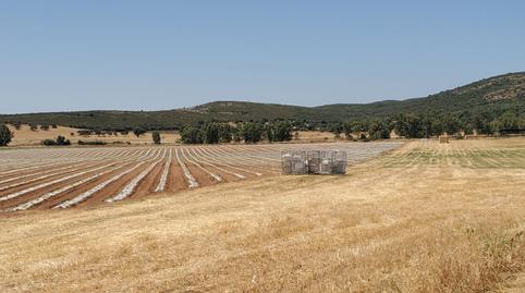 Photo 4 of Country house for sale in Nuevo Hospital, Ciudad Real