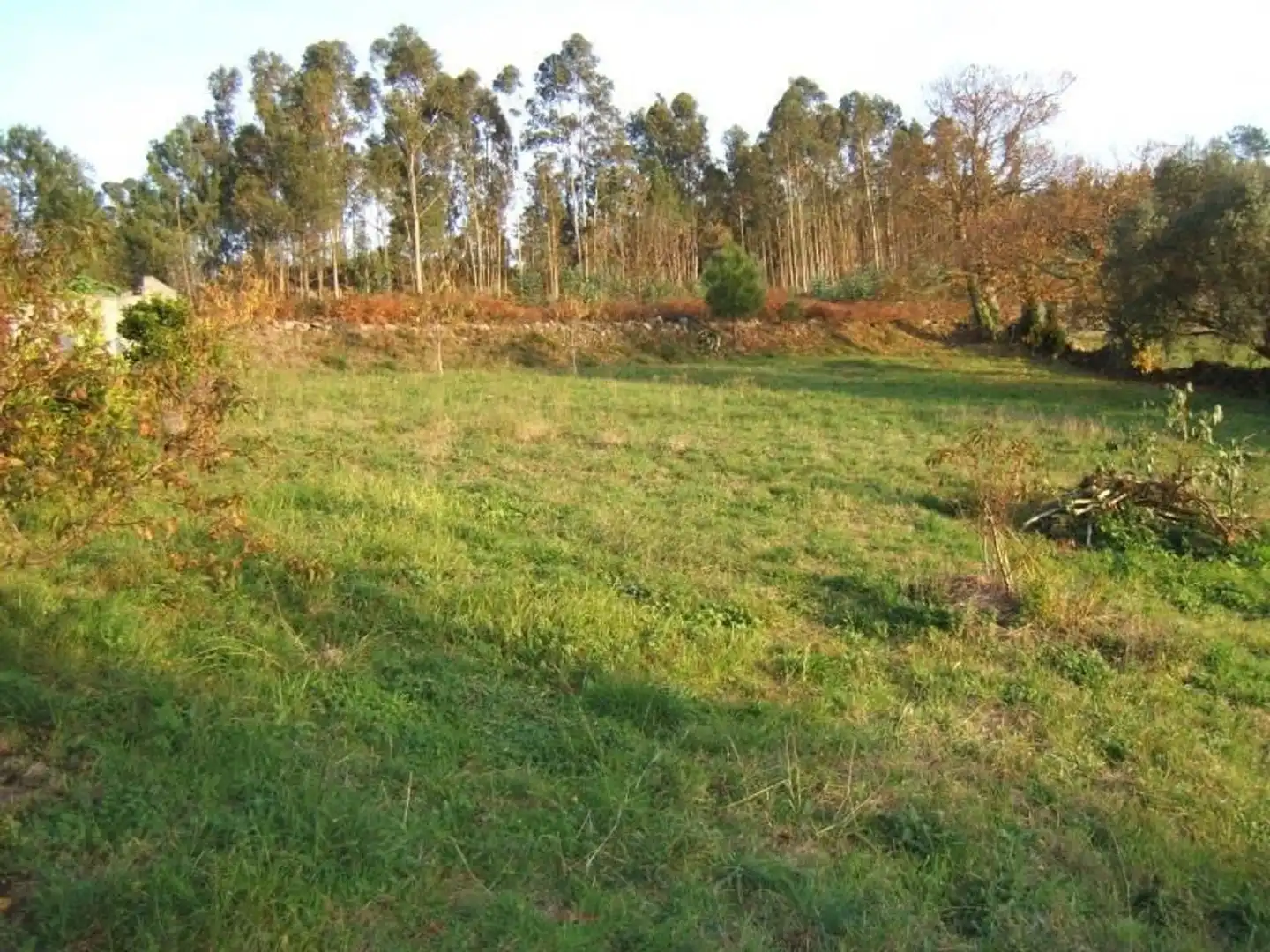 Residential land for sale in Lugar Igrexario 11, imagen 3