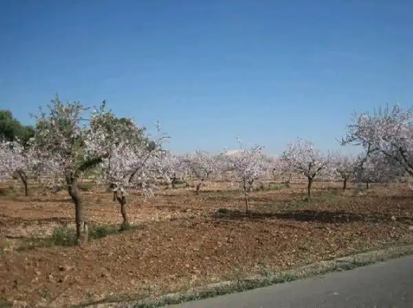 Country homes for sale in Murcia  with Private garden, Terrace and Storage room