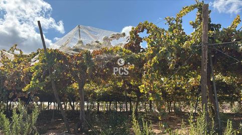 Parral en venta en Totana