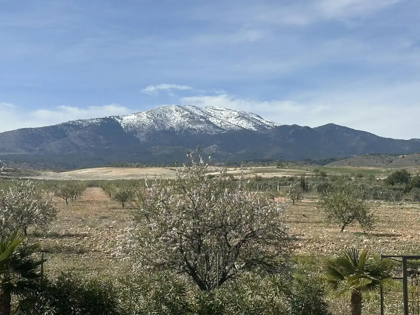 Casa o chalet en venta en Baza, Granada